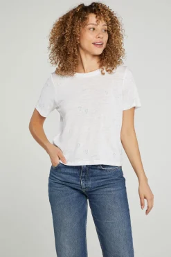 Shop Chaser Brand Cactus Flower
