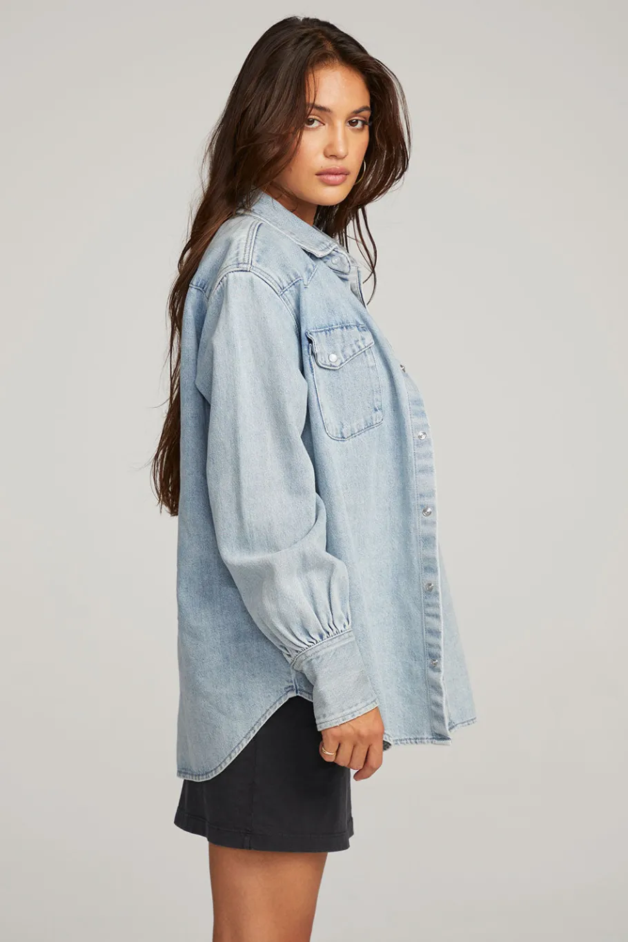 Cheap Chaser Brand Elk Classic Blue Button Down