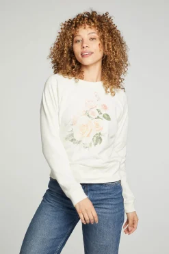 New Chaser Brand Roses