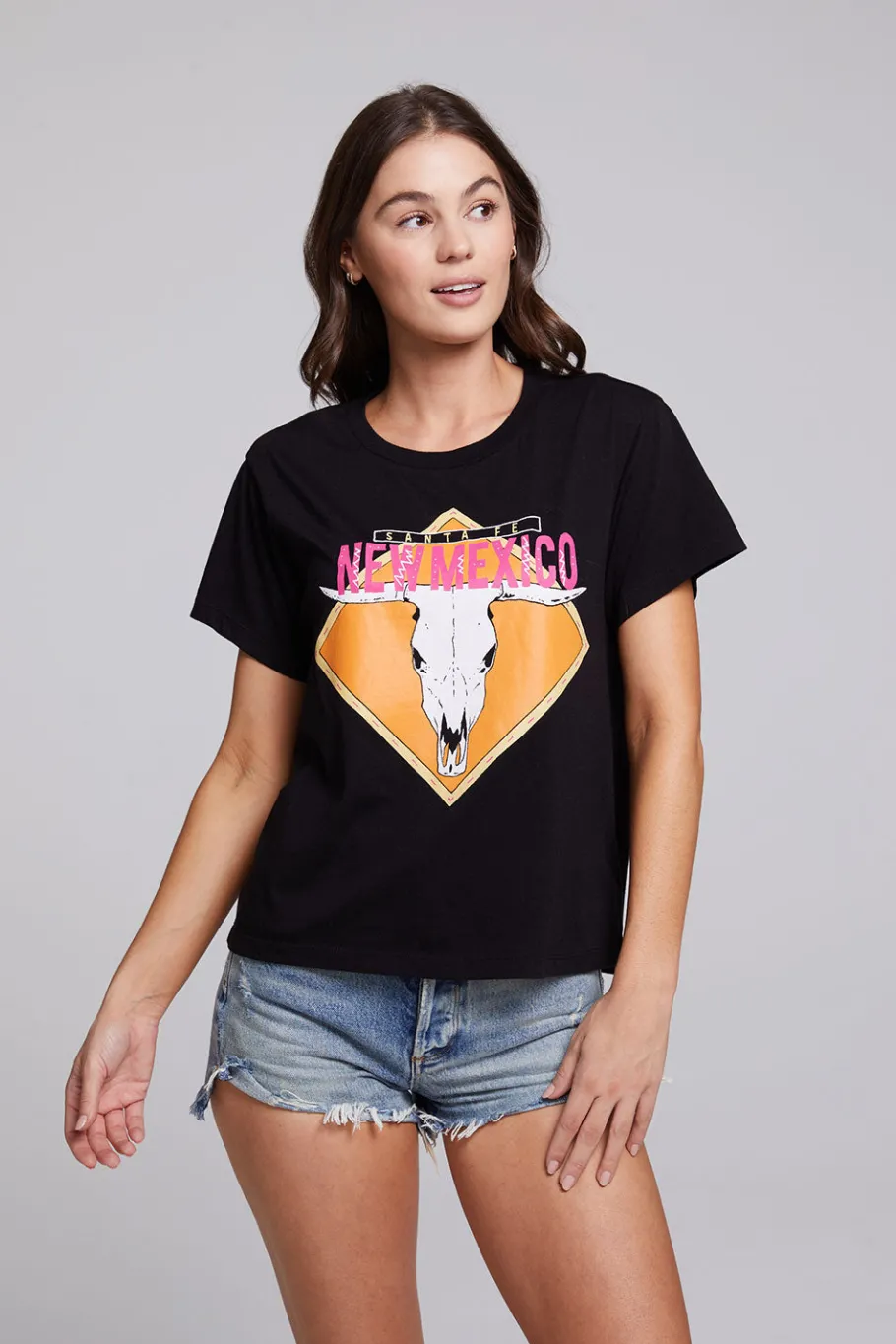 New Chaser Brand Santa Fe Crew Neck Tee