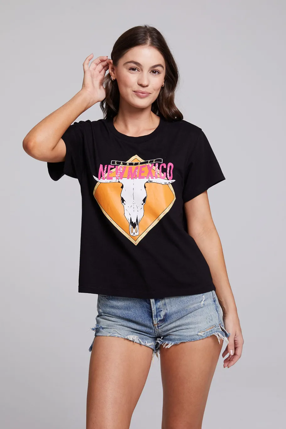 New Chaser Brand Santa Fe Crew Neck Tee