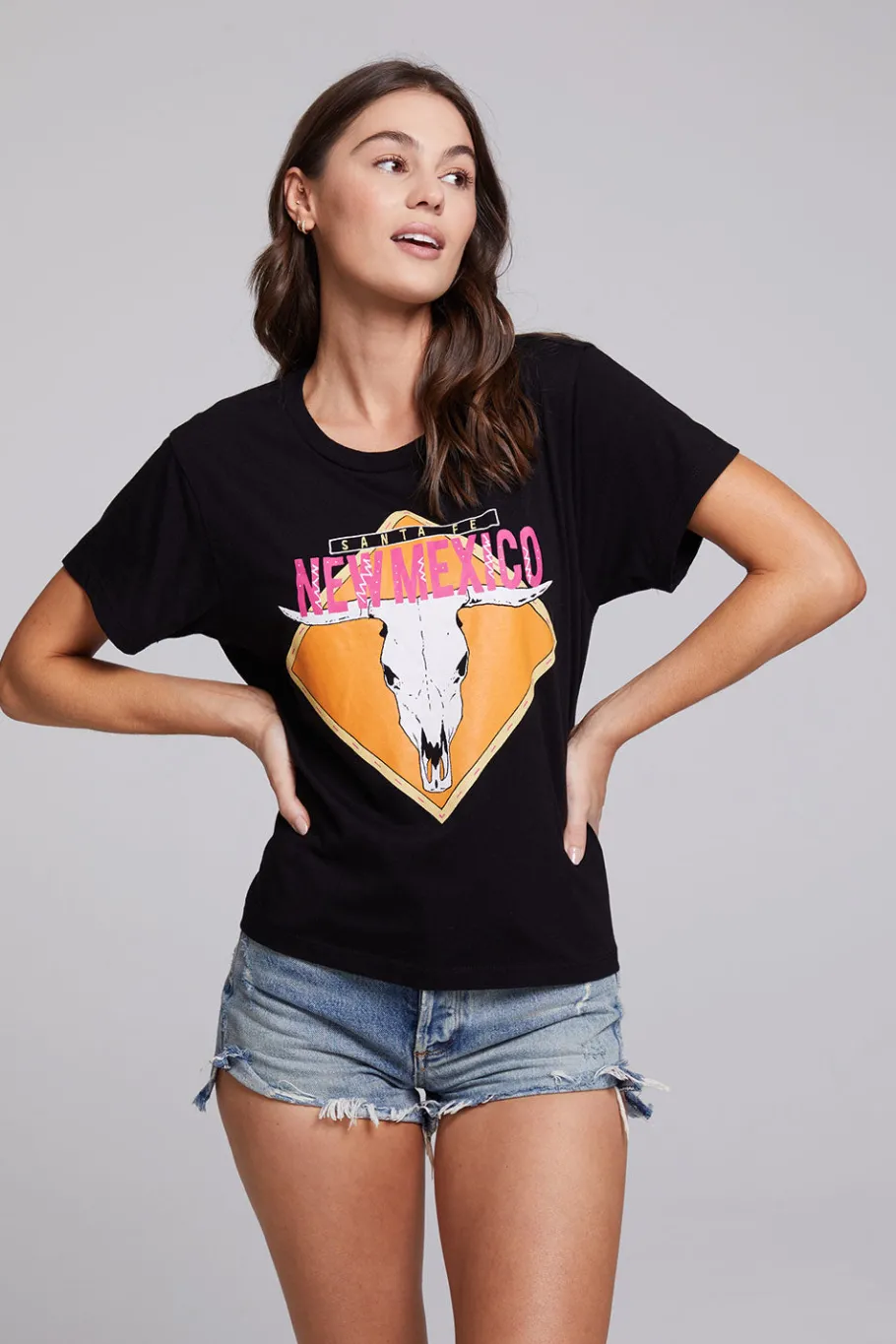 New Chaser Brand Santa Fe Crew Neck Tee